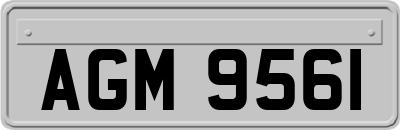 AGM9561