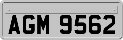 AGM9562