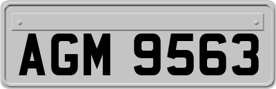 AGM9563