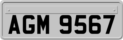 AGM9567