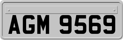 AGM9569
