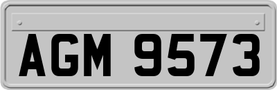AGM9573