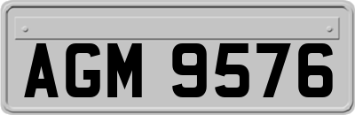 AGM9576
