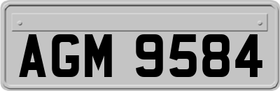AGM9584
