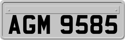 AGM9585