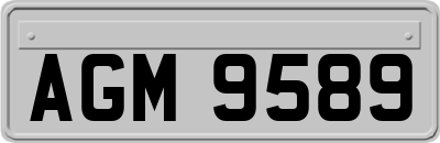 AGM9589