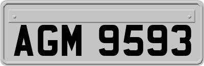 AGM9593