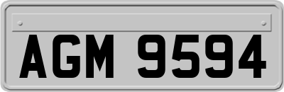 AGM9594