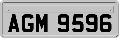 AGM9596