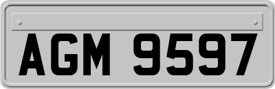 AGM9597
