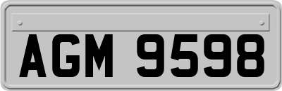 AGM9598