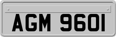 AGM9601