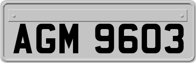 AGM9603