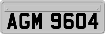AGM9604