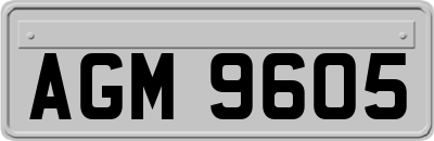 AGM9605