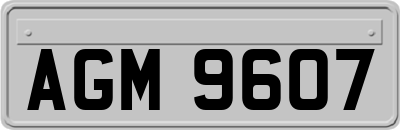 AGM9607