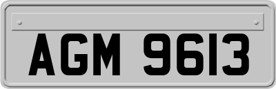 AGM9613