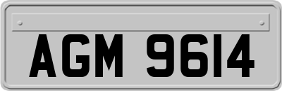 AGM9614