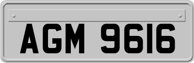 AGM9616
