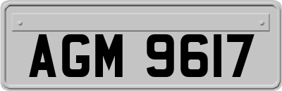 AGM9617