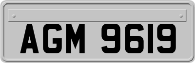 AGM9619