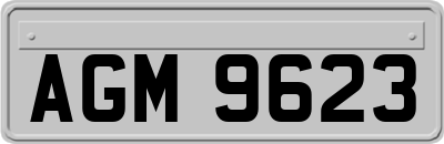 AGM9623