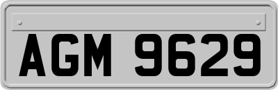 AGM9629