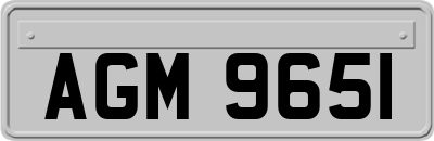 AGM9651