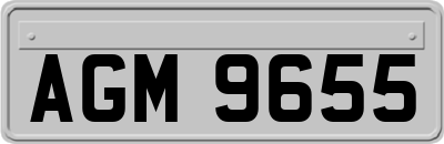 AGM9655