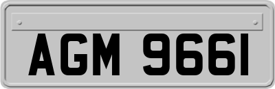 AGM9661