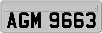 AGM9663