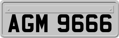 AGM9666