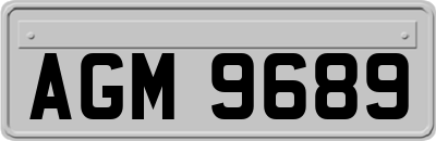 AGM9689
