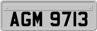 AGM9713