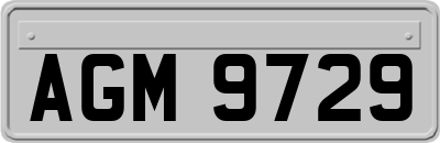 AGM9729