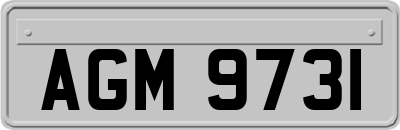 AGM9731
