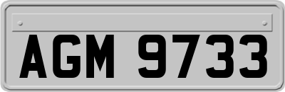 AGM9733
