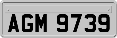 AGM9739