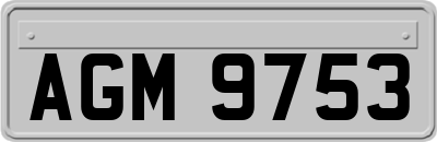 AGM9753