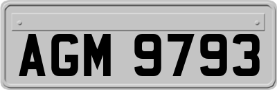 AGM9793