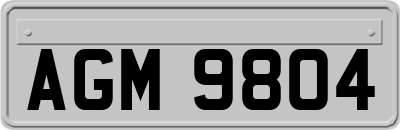 AGM9804