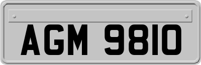 AGM9810