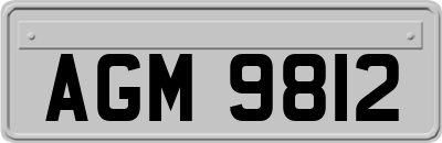 AGM9812