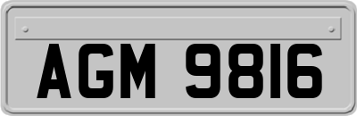 AGM9816