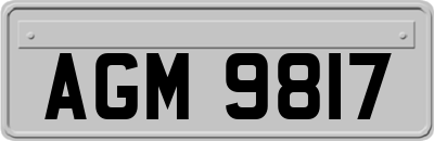 AGM9817