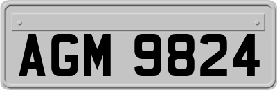 AGM9824