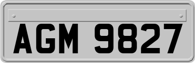 AGM9827