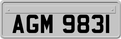 AGM9831