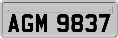 AGM9837