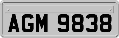 AGM9838